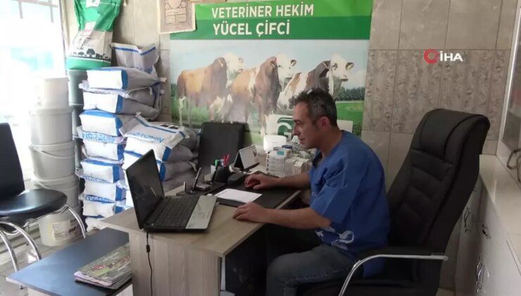 Hayvan Sevgisi İçin Hemşireliği Bırakıp Veteriner Doktor Oldu