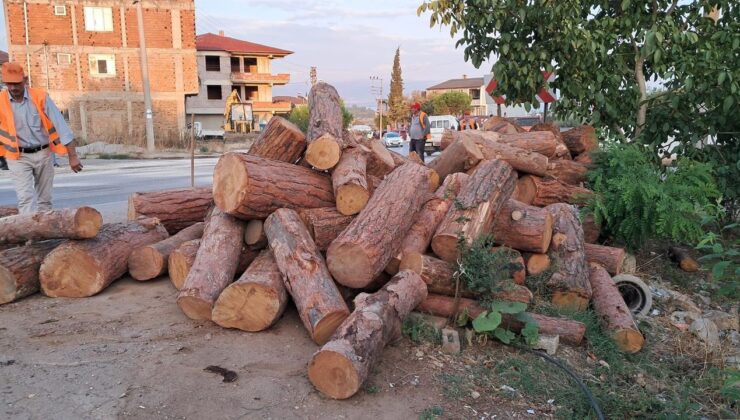 Kamyon Virajı Alamadı, Tomruklar Yola Saçıldı