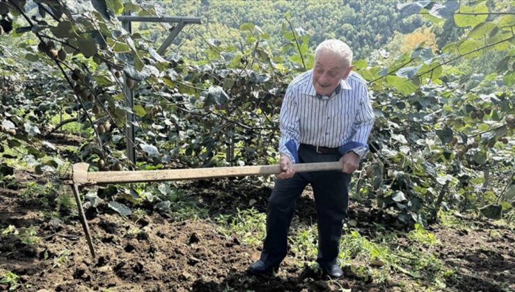 Karadeniz’in İhtiyar Delikanlıları, Topraktan Ayrılamıyor