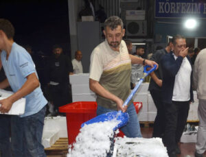 Kocaeli’de Yeni Dönemin İlk Balık Mezadı Yapıldı