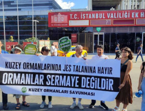 Kuzey Ormanları Savunması: İstanbul’da Su Krizi Kapıda, Sularımızın Kirlenmesini İstemiyoruz