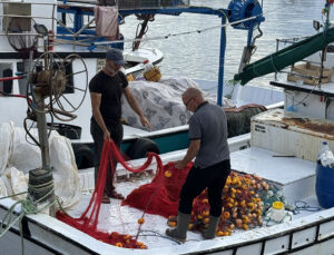 Marmara’da Umduğunu Bulamayan Balıkçılar Karadeniz’e Uzandı