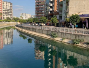 Muhammed’in Ağabeyi de Sulama Kanalında Boğulmuş