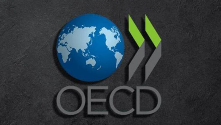 OECD: İşletme ve Bireyler Üzerindeki Vergilerin Azaltılması Eğilimi Tersine Dönüyor