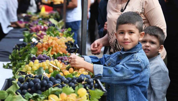 Osmangazi’de Üzüm Şenliği Büyük İlgi Gördü