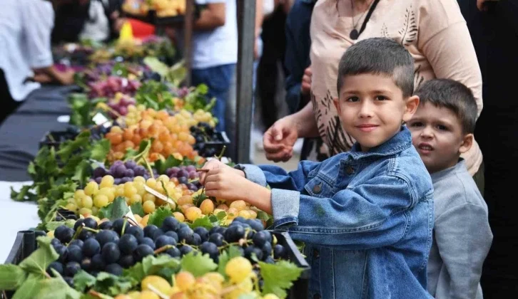 Osmangazi’nin En Güzel Üzümleri Seçildi