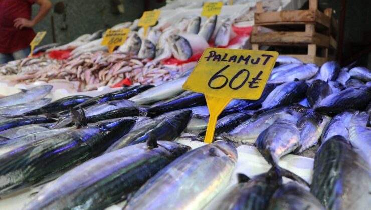 Samsun’da Tezgahlarda Palamut Rahmeti