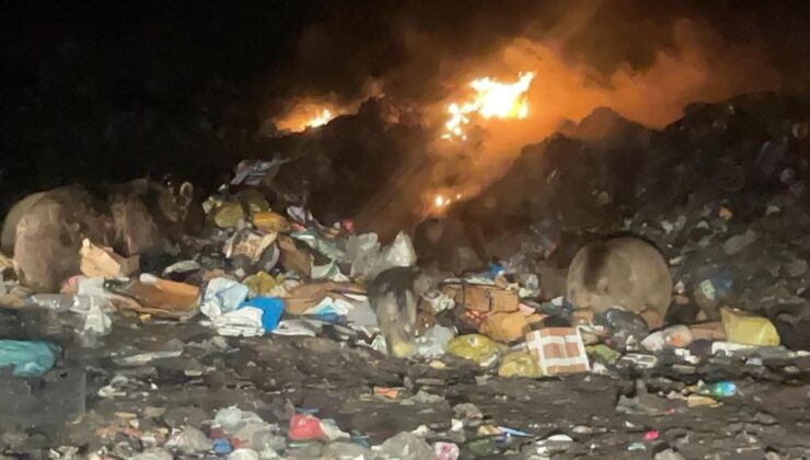 Sarıkamış’ta Çöplüğe İnen Ayılarla Selfie