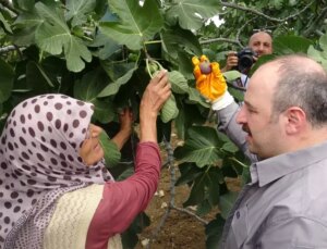 Tarım Bakanlığı, Uzun Vadeli Destek Sistemini Duyurdu