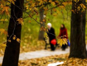 Türkiye’de Sonbahar Etkisi Başladı: İşte Son Hava Durumu Raporu