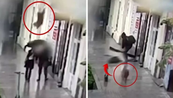 Yolda Yürürken Başına Köpek Düşen Kadın Ağır Yaralandı