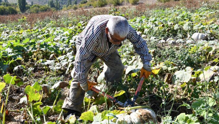 1 Yıl Raf Ömrü Var: “Sanki Kestane Yemiş Gibi Oluyorsunuz”