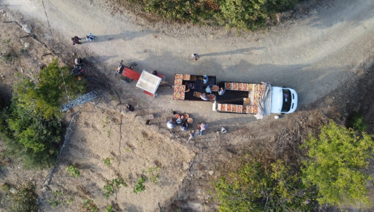 Adana’da Zorlu Hasat Başladı, Çok Fazla Talep Görüyor: Tarlada Kilosu 20 TL