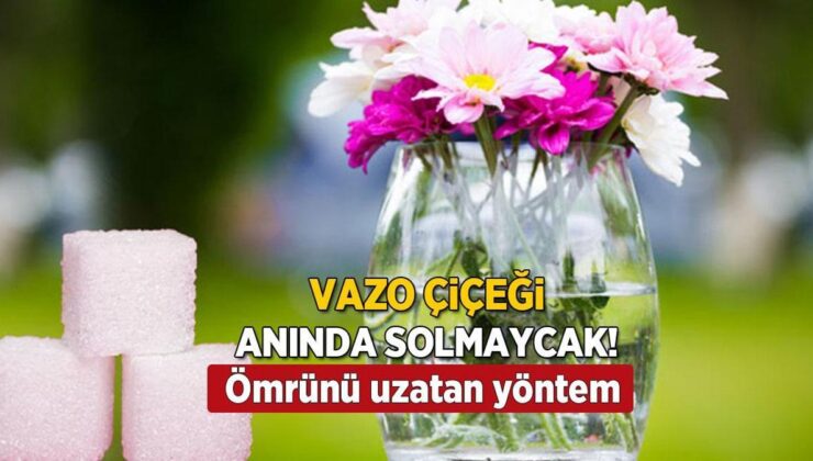 Anında Soluyorsa Tek Tahlili Var, Vazoda Çürümeyecek! Oysaki Su Düşmanıymış