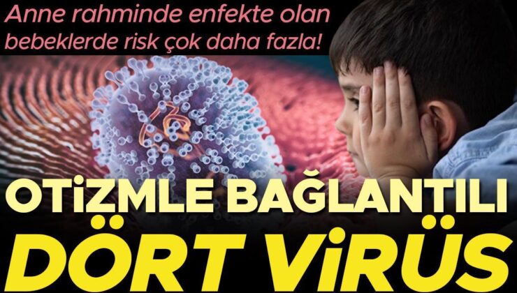 Anne Rahminde Enfekte Olan Bebeklerde Risk Çok Daha Fazla… İşte Otizmle İlişkili Dört Virüs