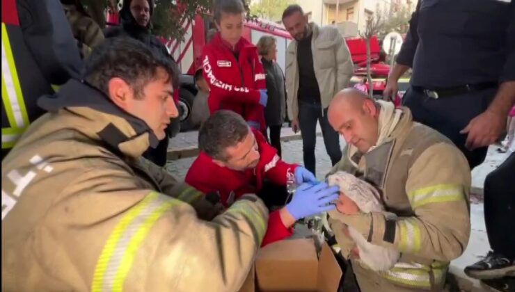 Avcılar’da Çıkan Yangında Mahsur Kalan Tavşanı İtfaiye Ekipleri Kurtardı