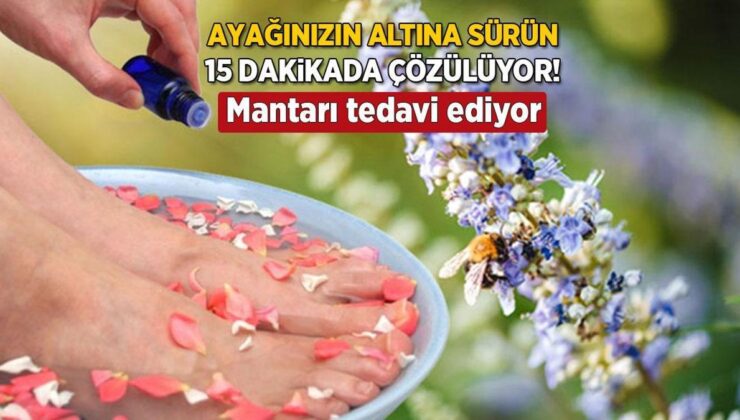 Ayak Altına Sürülen Lavanta Oysaki İlaçmış! 15 Dakikada Süper Etki, Nefesi Bile Açıyor