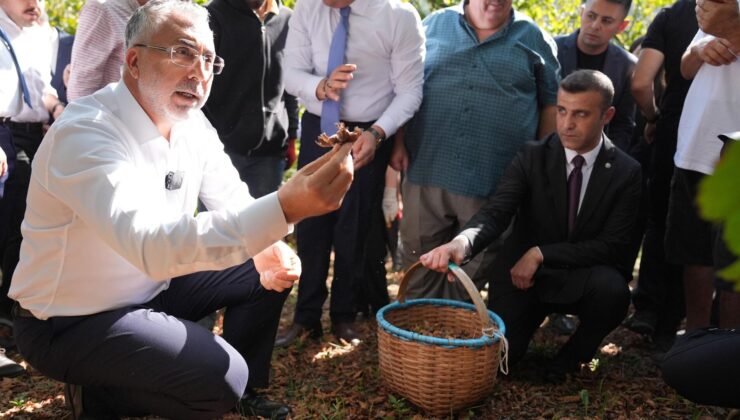 Bakan Işıkhan’dan ‘Çocuk İşçi’ Açıklaması: ‘Çalışmalarımız Diğer Ülkelere de Rehber Niteliğinde’