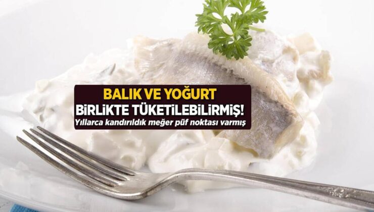 Balık ve Yoğurt Birlikte Tüketilebilirmiş! Yıllarca Kandırıldık Oysaki Püf Noktası Varmış