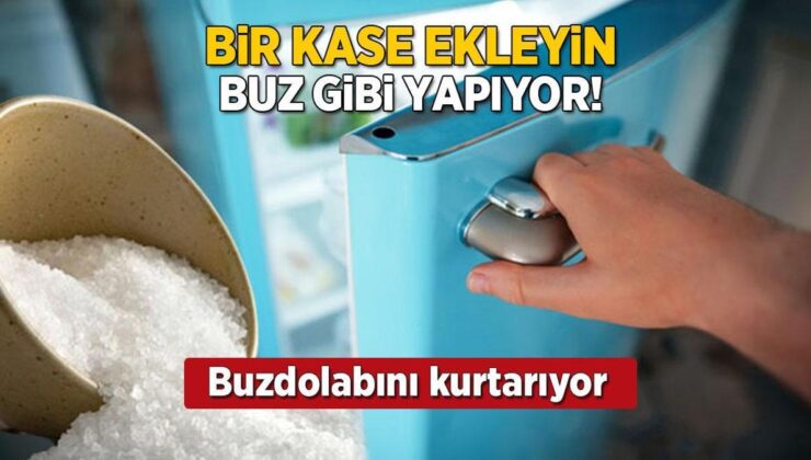 Bir Kase Ekleyin, Anında Soğutuyor! Bu Taktik Yaz Aylarında Buzdolabını Kurtaracak