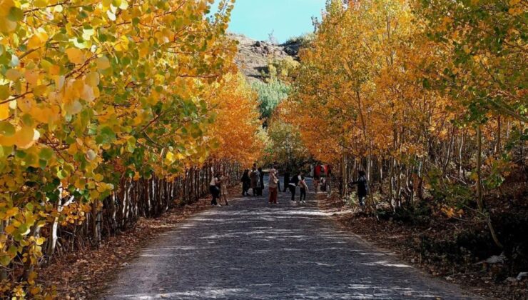 Bitlis Nemrut Kalderası’nda Sonbahar Hoşluğu