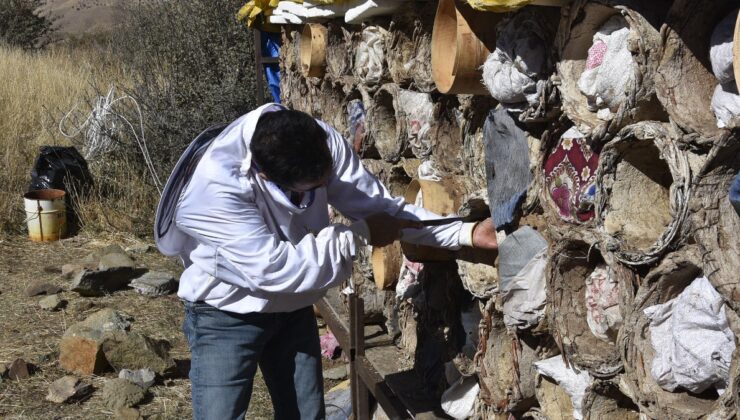 Bitlis’te Dünyaca Ünlü Karakovan Balı Tercih Ediliyor