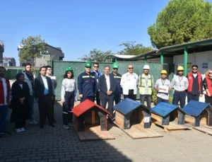 Can Dostlarımız Gemlik Belediyesi’nin Muhafazası Altında