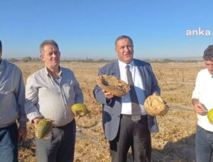 CHP’li Gürer’den İktidara Çağrı: Üreticiye Sahip Çıkın, Gerekli Destekleri Verin!