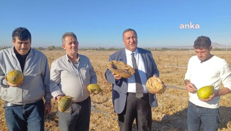 CHP’li Gürer’den İktidara Çağrı: Üreticiye Sahip Çıkın, Gerekli Destekleri Verin!