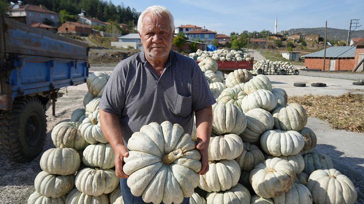 Deneme Amaçlı Ektiler, Şimdi 40 Kente Satıyorlar