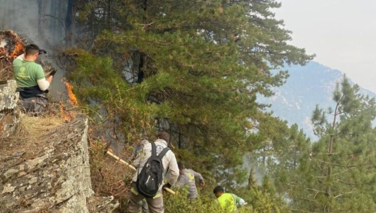 Denizli Yangını Söndü, Geriye Çabanın İzleri Kaldı