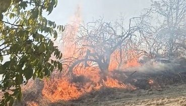 Denizli’de Çıkan Orman Yangını Paniğe Neden Oldu