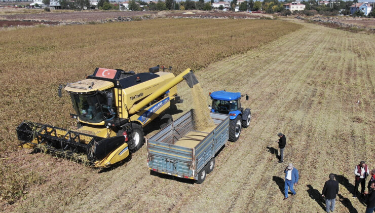 Diyarbakır’da Soya Ekim Alanı Bir Yılda 9 Binden 33 Bin Dekara Yükseldi