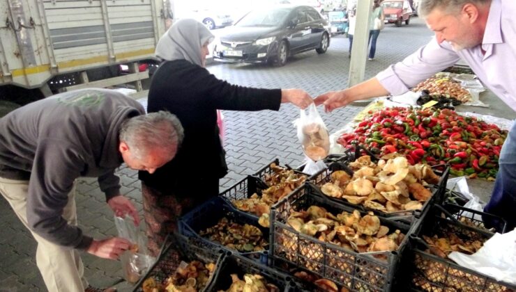 Doğada Resen Yetişiyor: Kilosu 150 TL’den Tezgahta Yerini Aldı