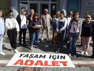 Edirne Halkı Sokak Hayvanlarını Savundu: 2 Bin 327 İmza Meclis’e Gönderildi!