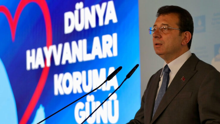 Ekrem İmamoğlu’ndan Sokak Hayvanları Açıklaması: Uyutulmasına Asla İzin Vermeyeceğiz