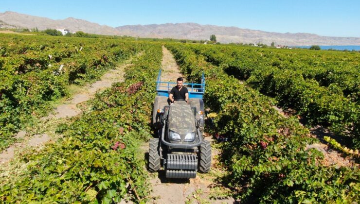 Elazığ’da Mühendisliği Bıraktı, Tarımda Servet Kazandı