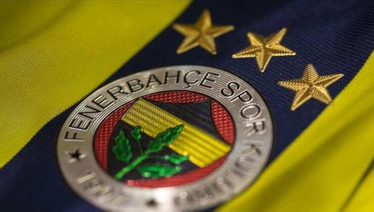 Fenerbahçe, Twente Deplasmanında