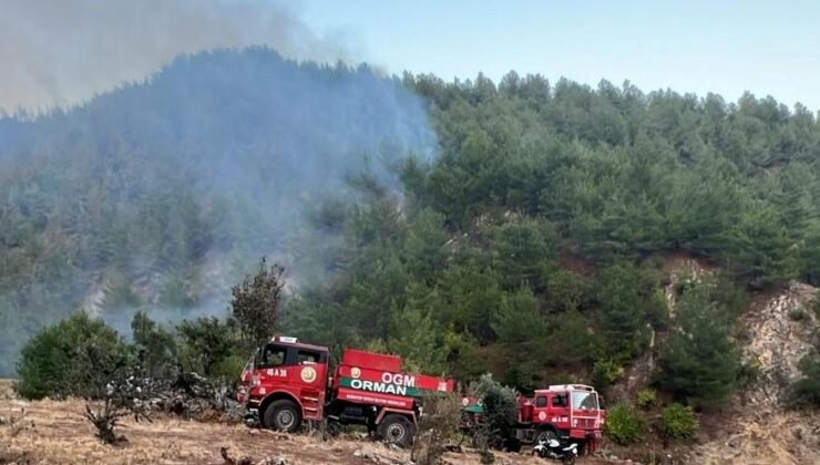 Gaziantep’te Orman Yangını