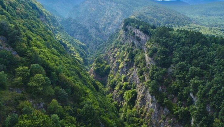 Geri Dönüşümle 128 Bin Ağaç Kurtarıldı; İşte Bursa’nın Doğa Dostu Belediyesi