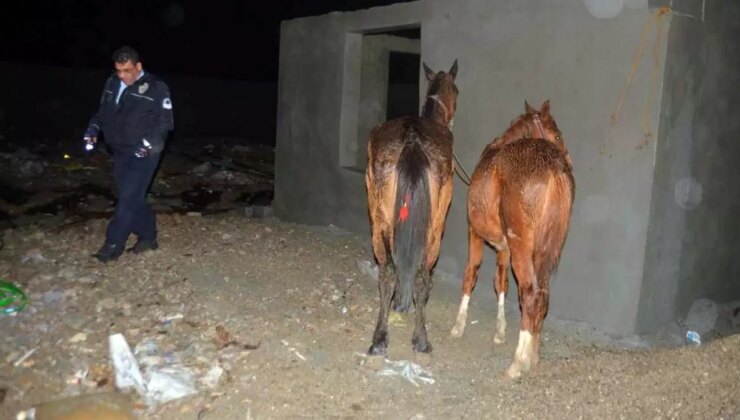 Gıda Teröristlerinin Vatandaşa En Çok At ve Eşek Eti Yedirdiği İki İlimiz