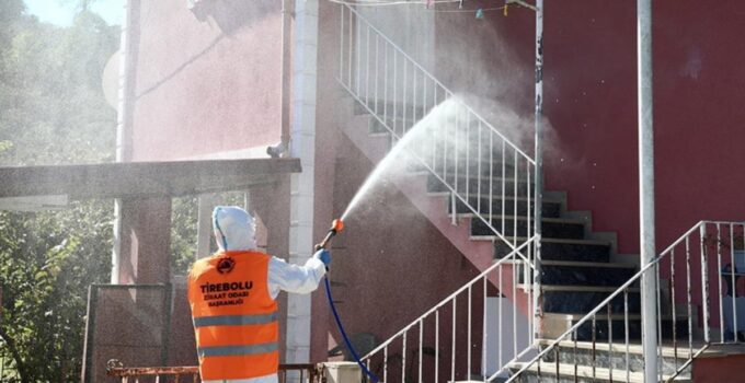 Giresun’da Kahverengi Kokarcayla Mücadele İmha Timi Kuruldu