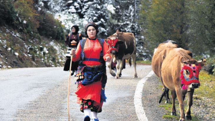 Günün Fotoğrafı Yayla Dönüşü