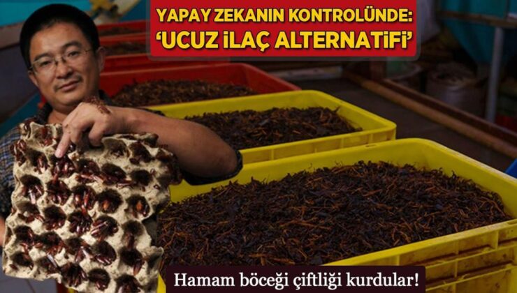 Hamam Böceği Çiftliği Kurdular! Yapay Zekânın Denetiminde: ‘Ucuz İlaç Alternatifi’