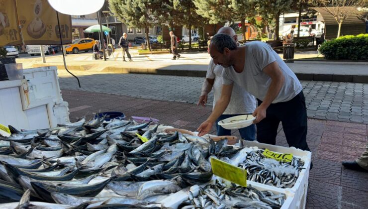 Hamsi Tezgaha 200 TL’den Girdi, Palamudun Saltanatı Devam Etti