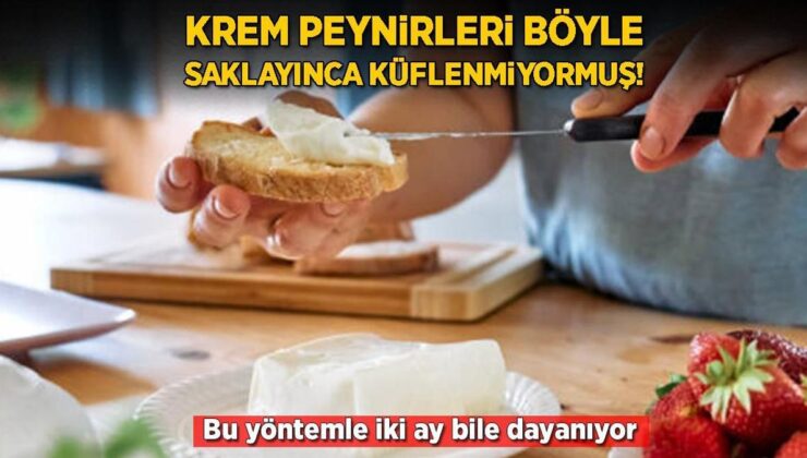 Hemencecik Küflenen Krem Peynirlere Son! Kıvamı Asla Bozulmuyor, Tam 2 Ay Dayanıyor