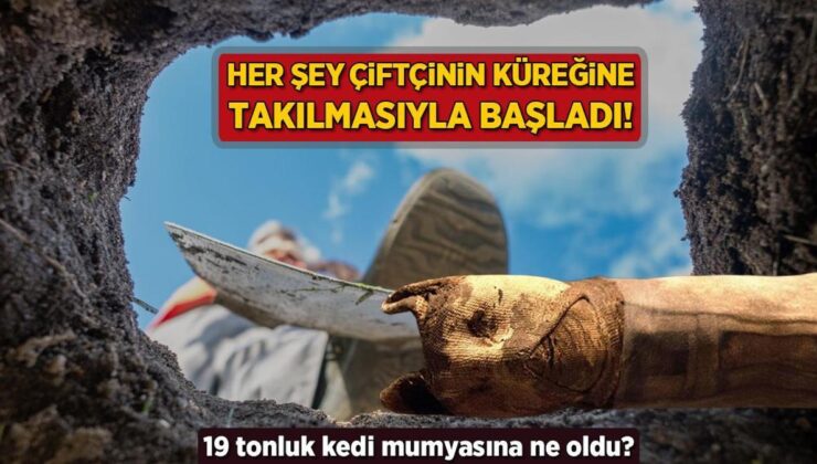 Her Şey Çiftçinin Küreğine Takılmasıyla Başladı! 19 Tonluk Kedi Mumyasına Ne Oldu?