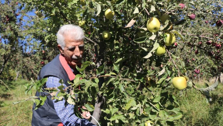 Hobi Olarak Başladı Şimdi Ticaretini Yapıyor: 4 Dönüm Yerde 7 Ton Verim Aldı