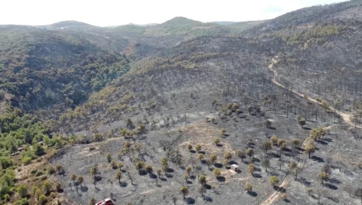 İzmir’de Yangınında Hasarın Boyutu Havadan Görüntülendi