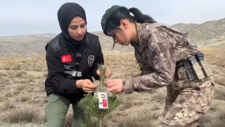 Kadın Polisler, Şehit Kadın Polislerin Anısına Fidan Dikti